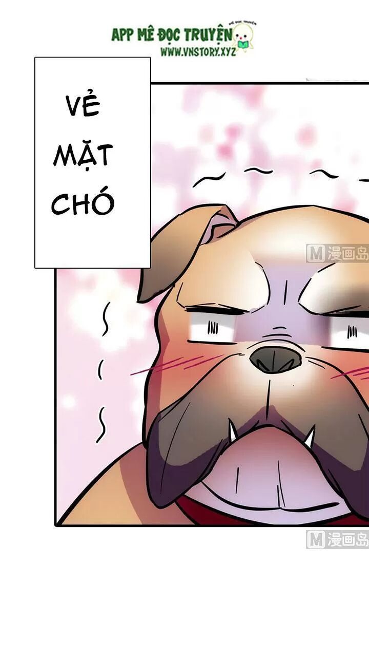 Ngọt Ngào Uy Vũ: Boss Sủng Đến Nghiện Chapter 186 - Trang 2