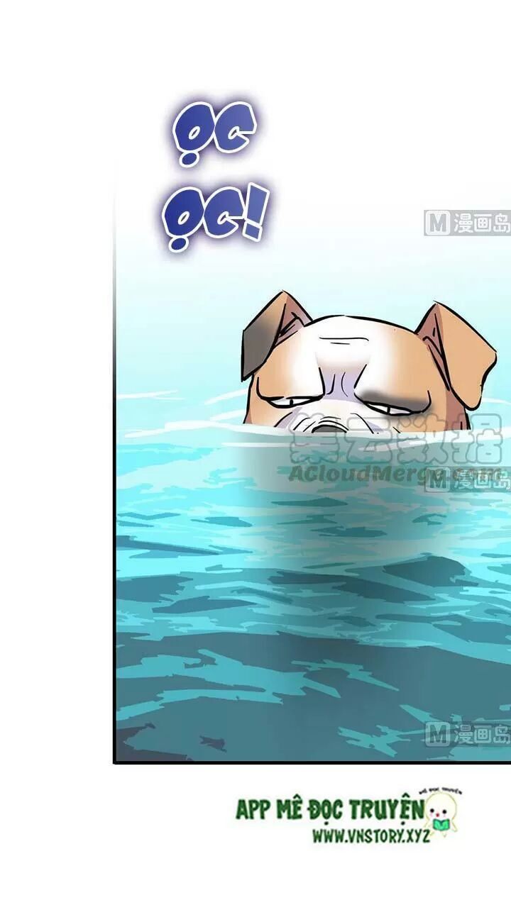 Ngọt Ngào Uy Vũ: Boss Sủng Đến Nghiện Chapter 187 - Trang 2