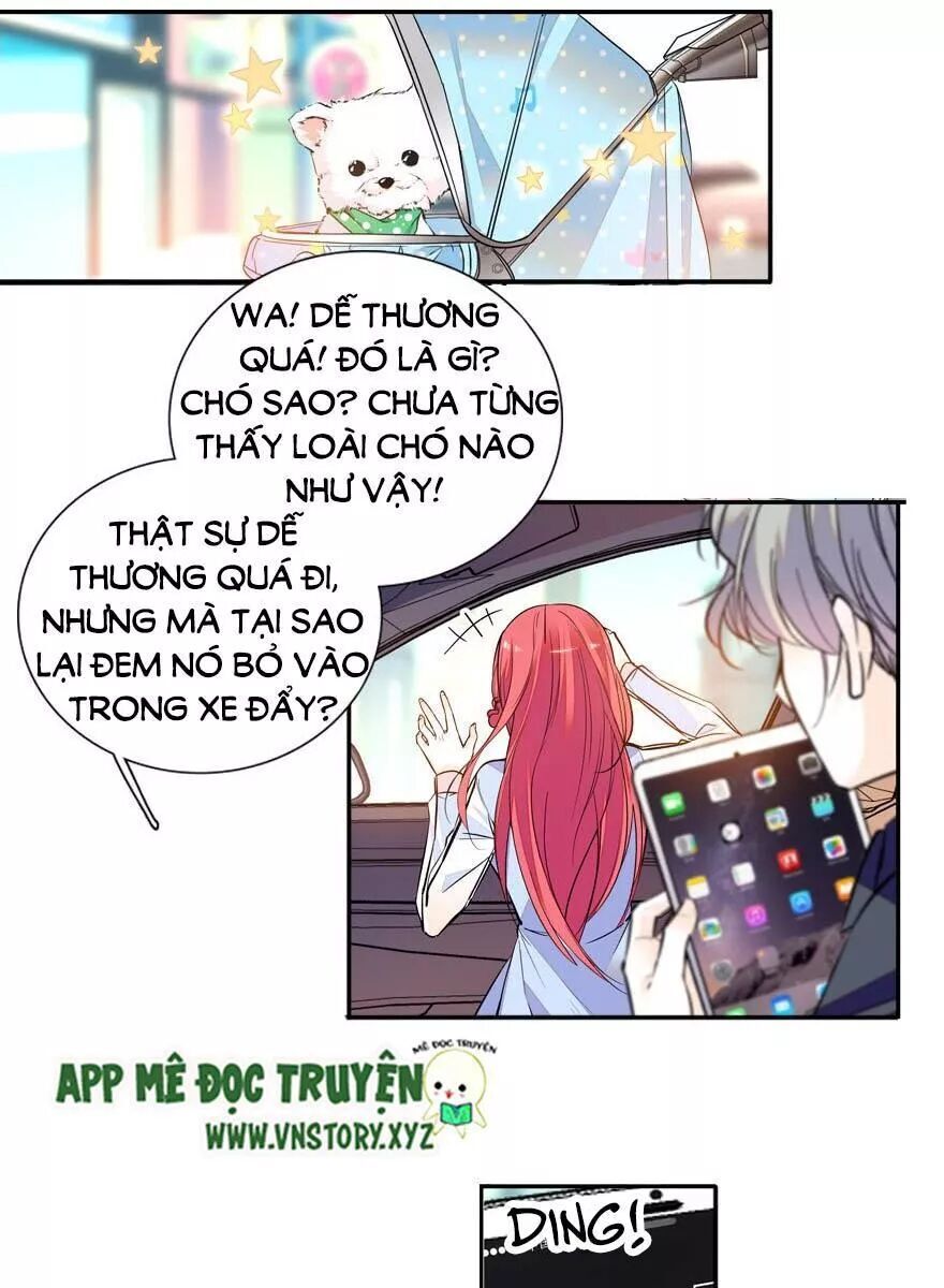 Ngọt Ngào Uy Vũ: Boss Sủng Đến Nghiện Chapter 51 - Trang 2