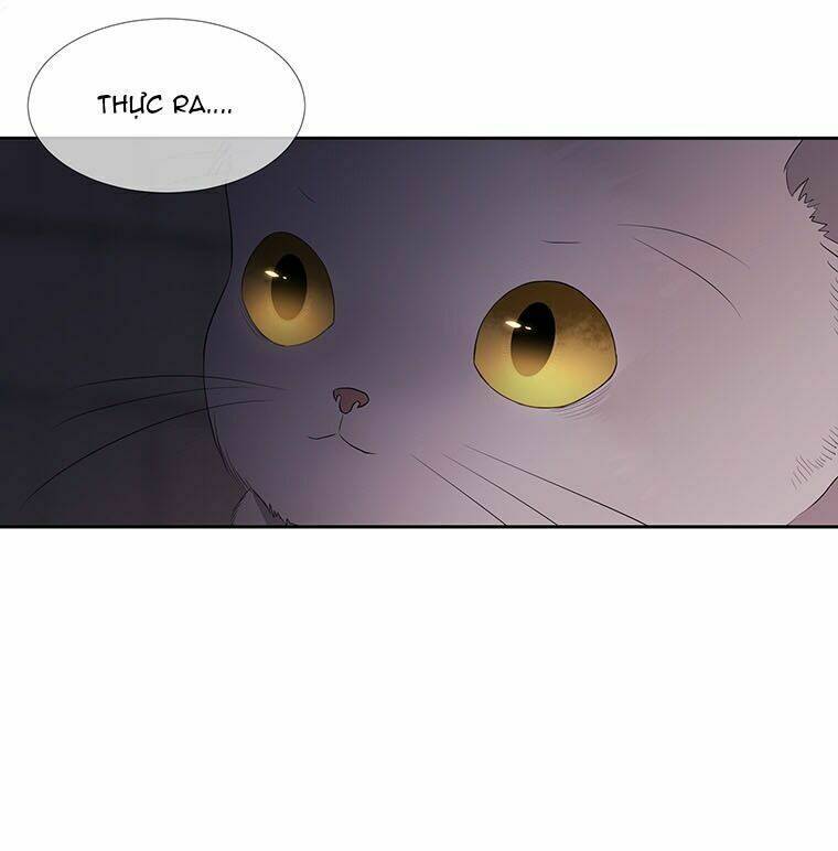 Ngũ Đại Đồ Đệ Của Charlotte Chapter 62 - Trang 2