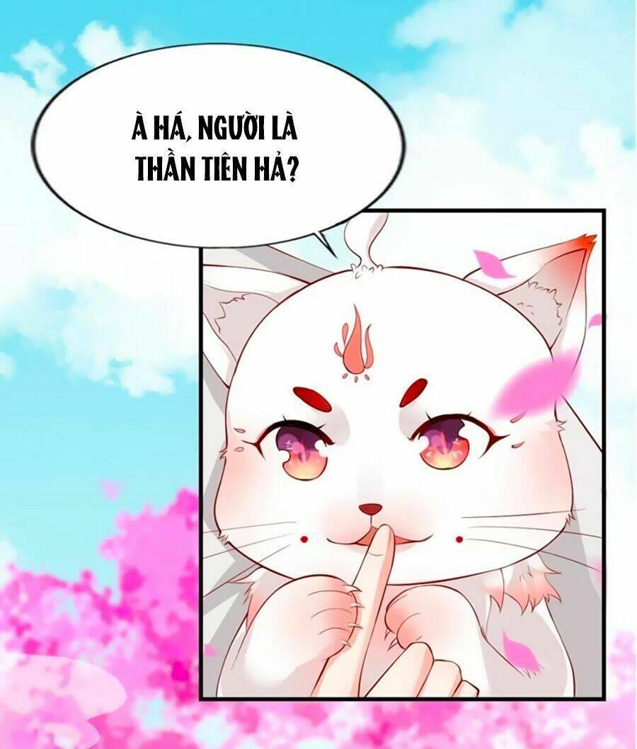 Ngũ Quyển Thần Thú Lục Chi Vong Ưu Truyện Chapter 2 - Trang 2