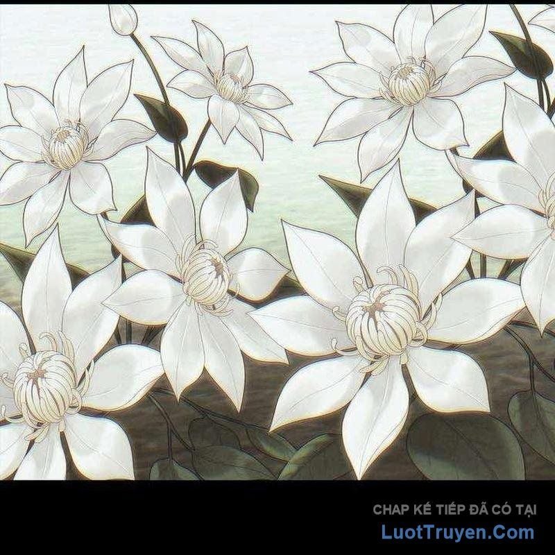 Ngục Tối Black Haze Chapter 51 - Trang 2