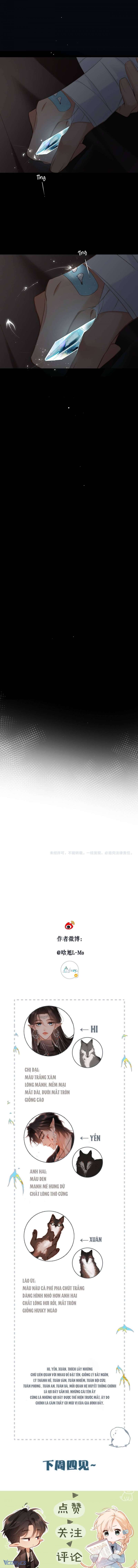 Ngược Dòng Mùa Xuân Chapter 2 - Trang 2