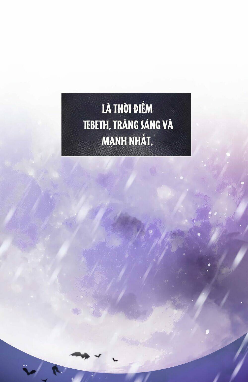 Người Bảo Hộ Của Bạo Quân Là Ma Nữ Tàn Độc Chapter 11 - Trang 2