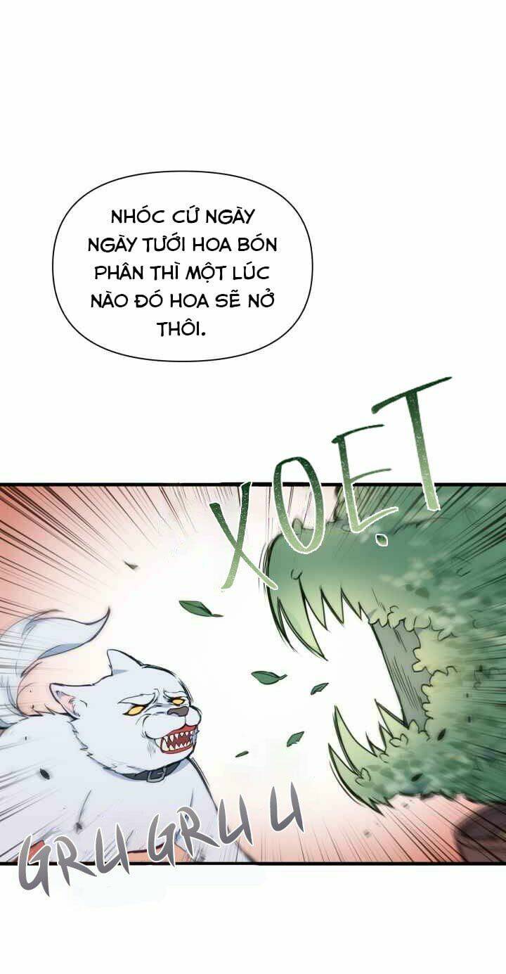 Người Bảo Hộ Của Bạo Quân Là Ma Nữ Tàn Độc Chapter 16 - Trang 2