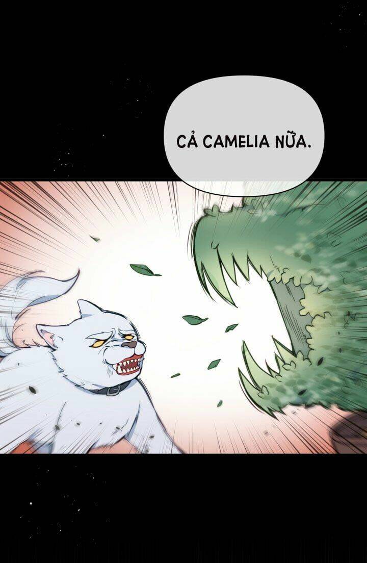 Người Bảo Hộ Của Bạo Quân Là Ma Nữ Tàn Độc Chapter 17 - Trang 2