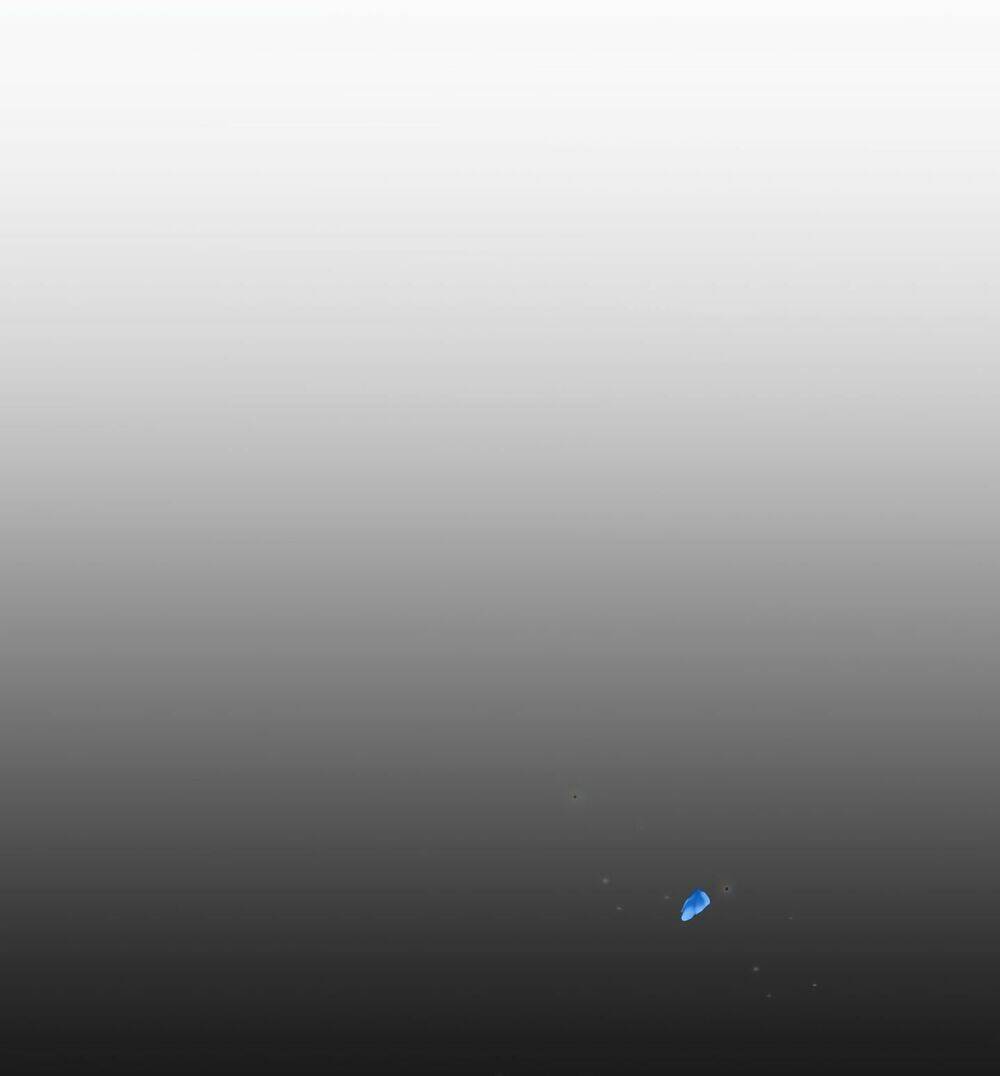 Người Bảo Hộ Của Bạo Quân Là Ma Nữ Tàn Độc Chapter 9 - Trang 2