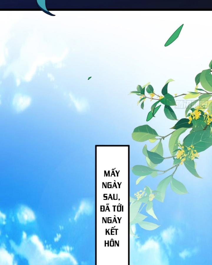 Ngươi Cấp Bậc Gì Dám Giả Bộ Trước Mặt Bảy Sư Tỷ Của Ta? Chapter 127 - Trang 2