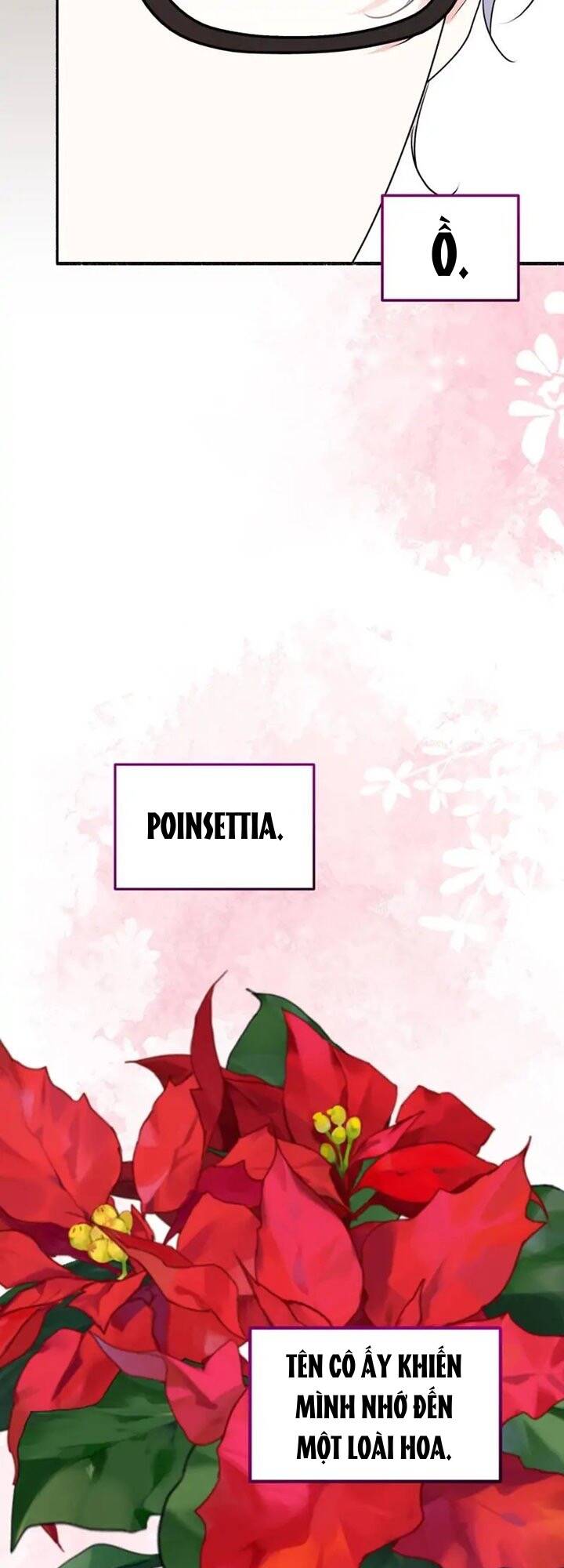 Người Chồng Thiên Thần Của Tôi Thật Ra Là Ác Quỷ Chapter 20.2 - Trang 2