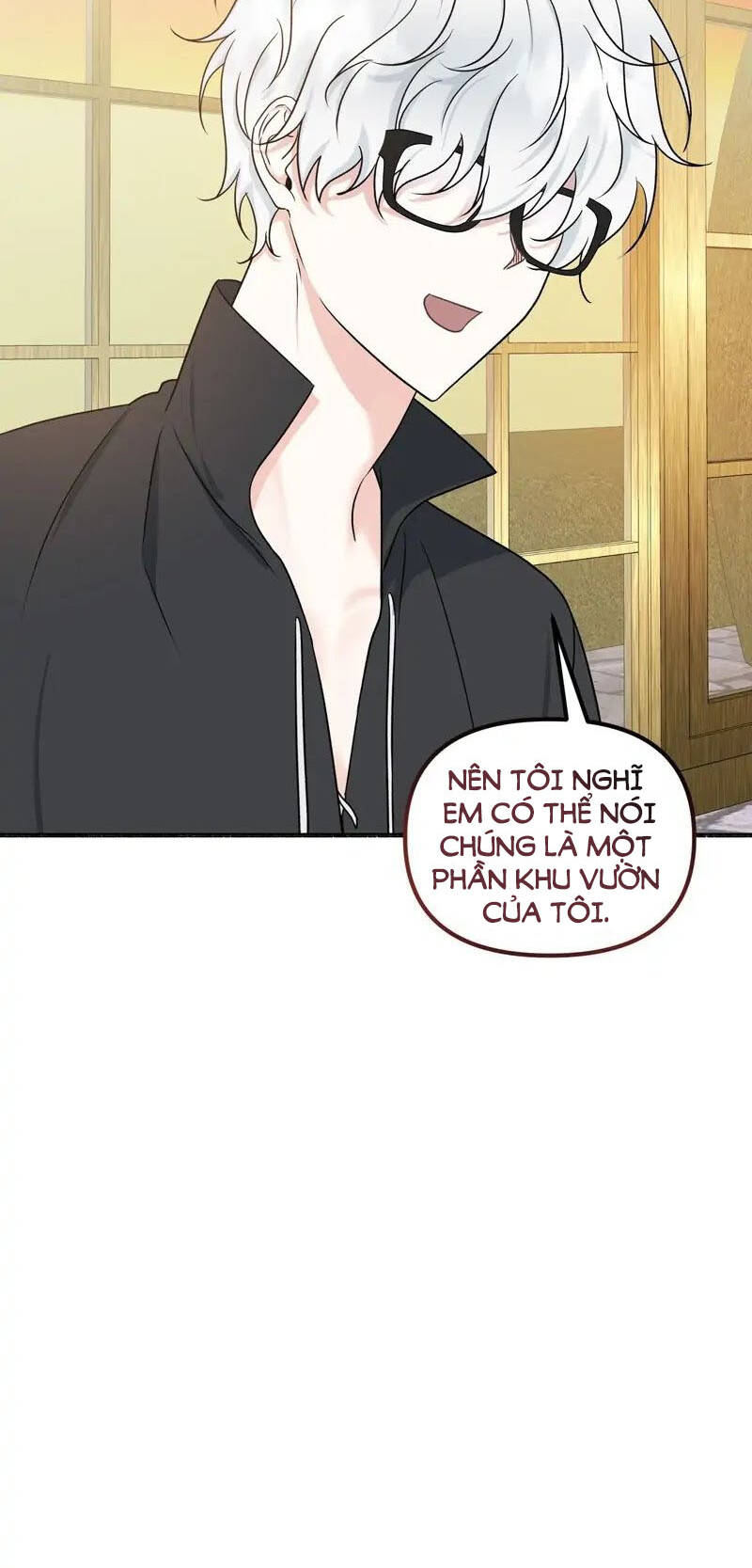 Người Chồng Thiên Thần Của Tôi Thật Ra Là Ác Quỷ Chapter 3.1 - Trang 2