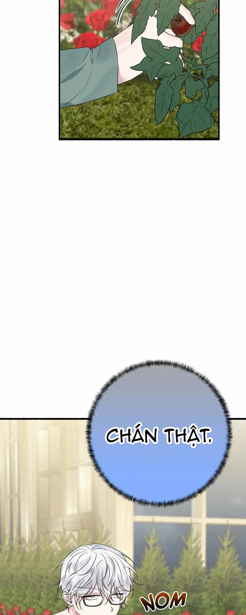 Người Chồng Thiên Thần Của Tôi Thật Ra Là Ác Quỷ Chapter 32.1 - Trang 2
