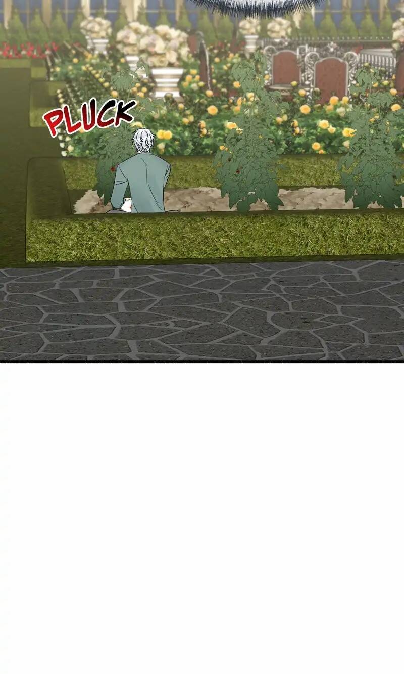 Người Chồng Thiên Thần Của Tôi Thật Ra Là Ác Quỷ Chapter 32.1 - Trang 2