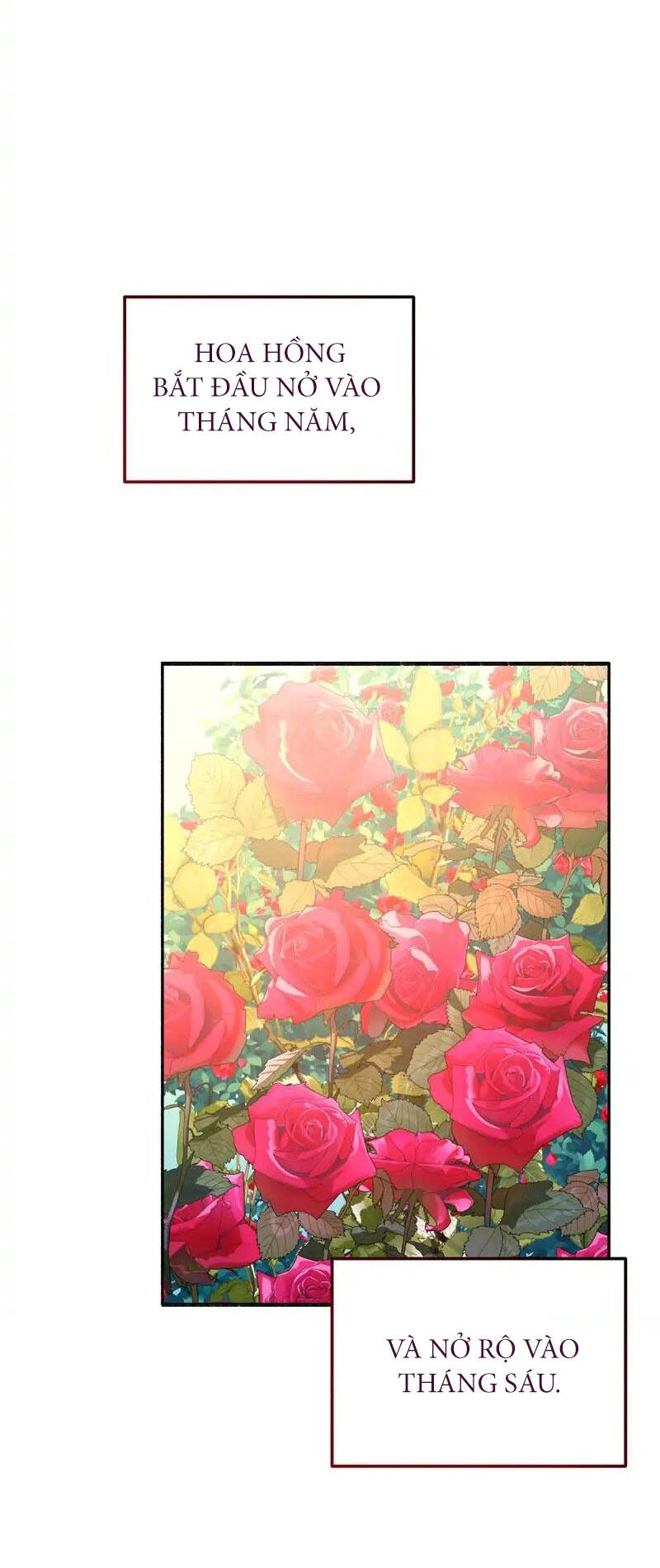 Người Chồng Thiên Thần Của Tôi Thật Ra Là Ác Quỷ Chapter 4.1 - Trang 2