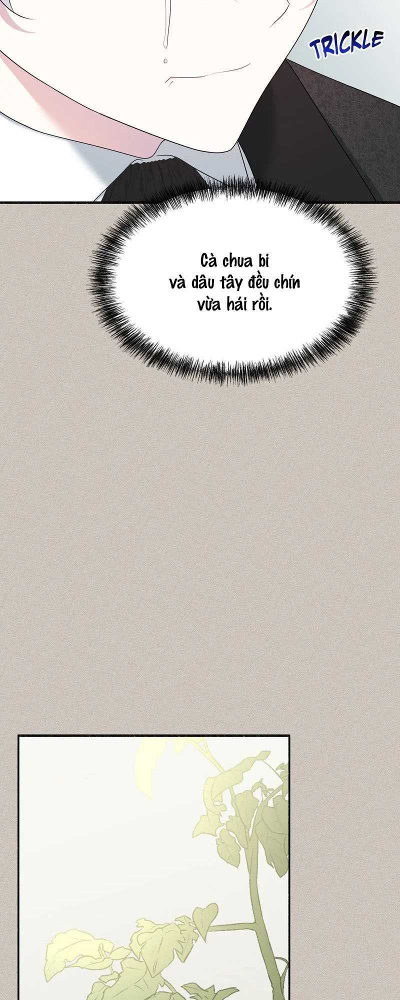 Người Chồng Thiên Thần Của Tôi Thật Ra Là Ác Quỷ Chapter 42.1 - Trang 2