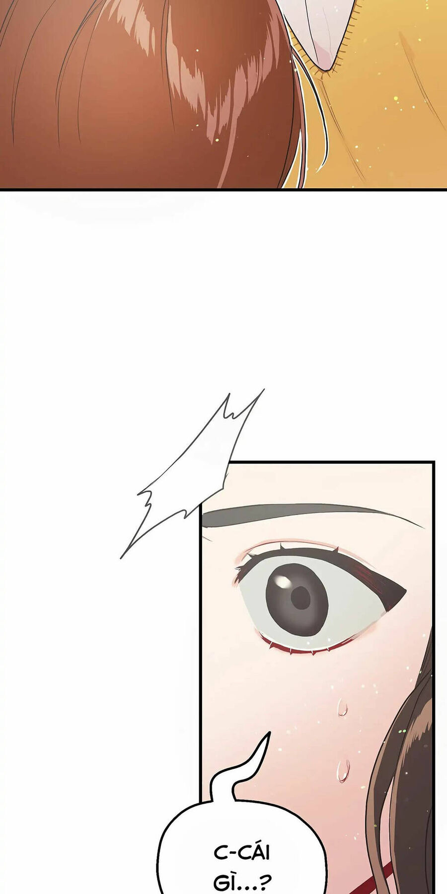 Người Chồng Thứ Hai Của Tôi Chapter 10 - Trang 2