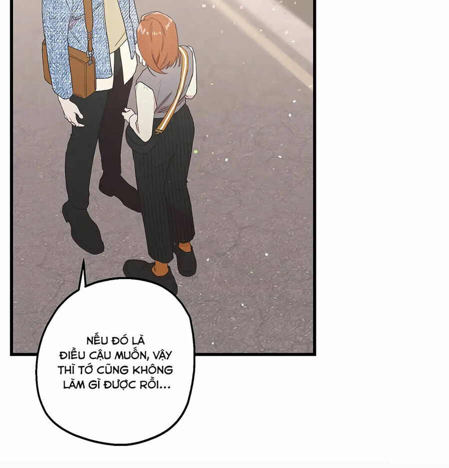 Người Chồng Thứ Hai Của Tôi Chapter 19 - Trang 2