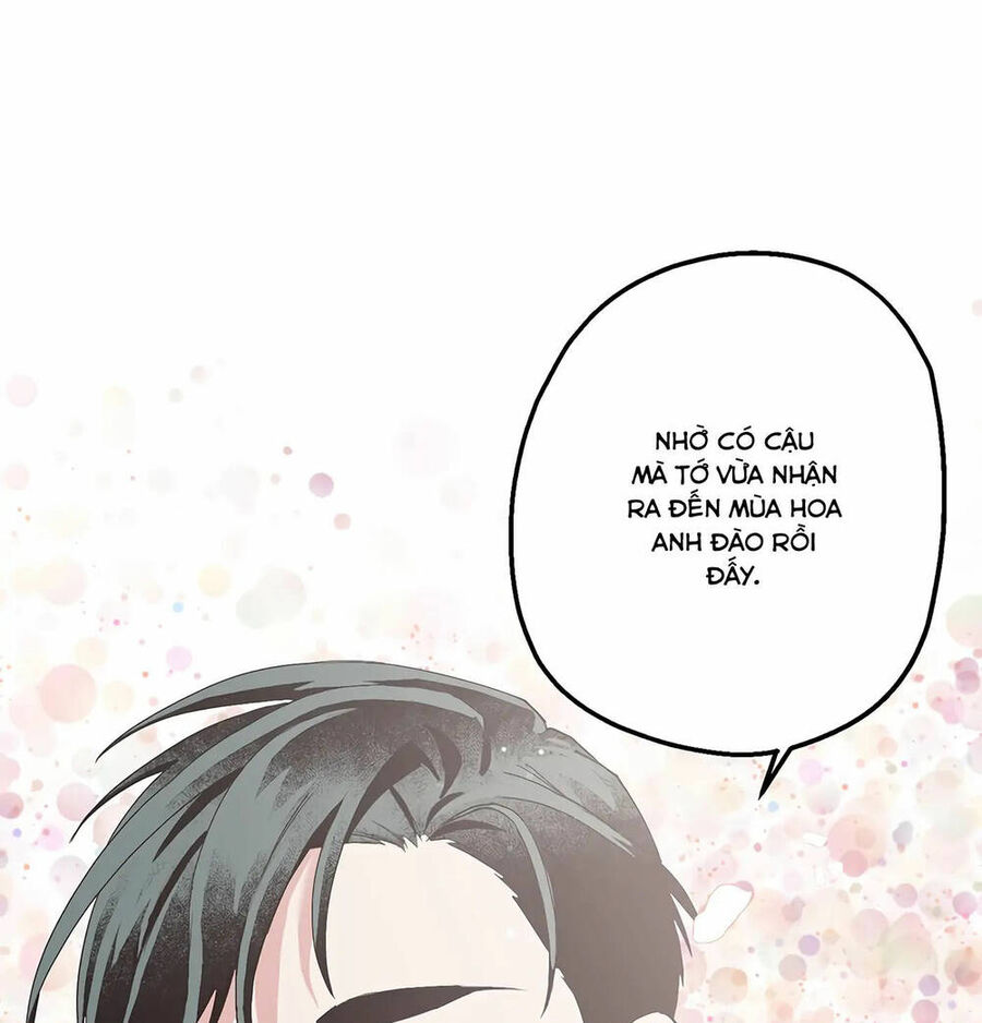 Người Chồng Thứ Hai Của Tôi Chapter 19 - Trang 2