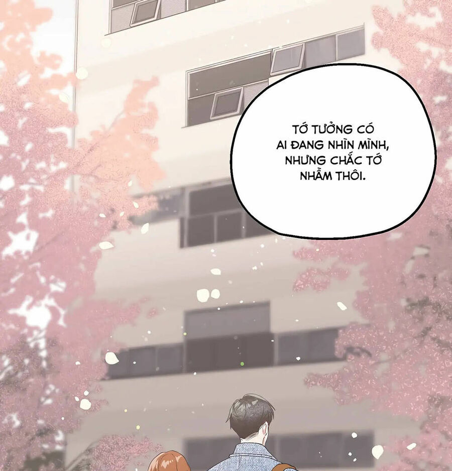 Người Chồng Thứ Hai Của Tôi Chapter 19 - Trang 2