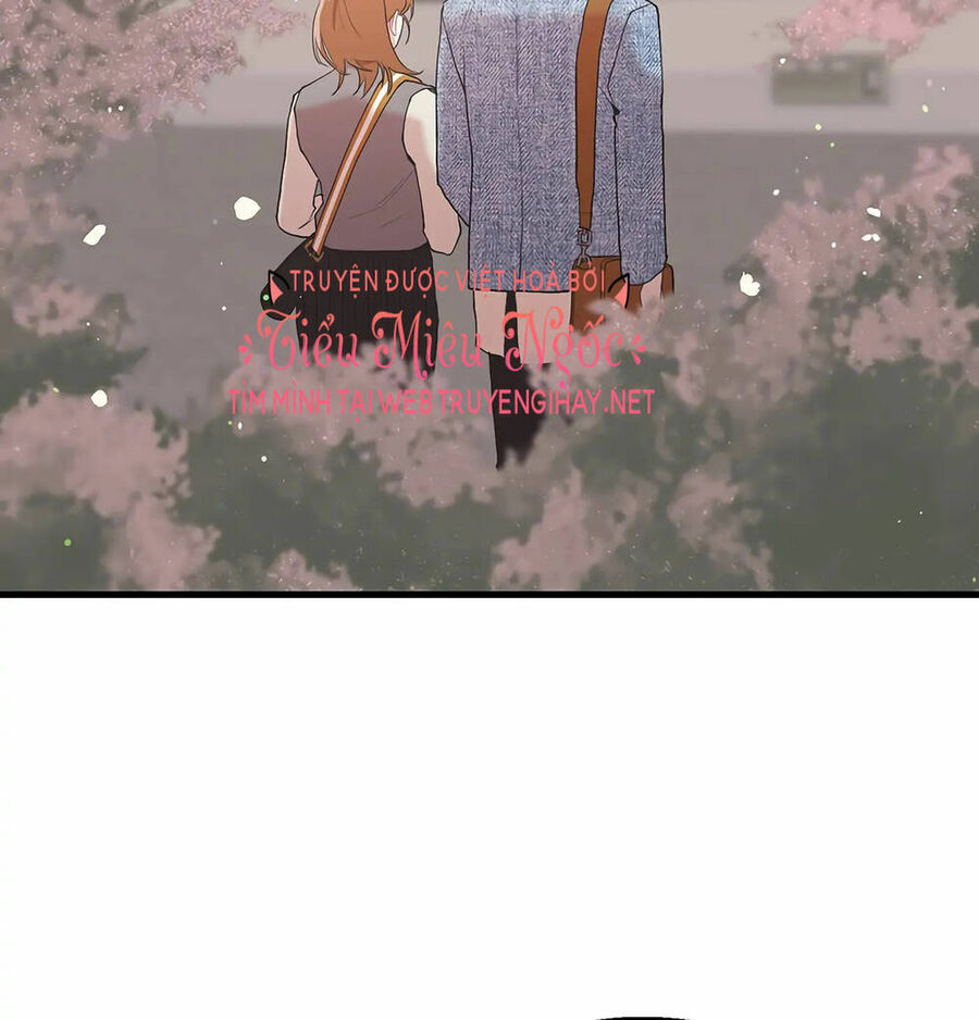 Người Chồng Thứ Hai Của Tôi Chapter 19 - Trang 2