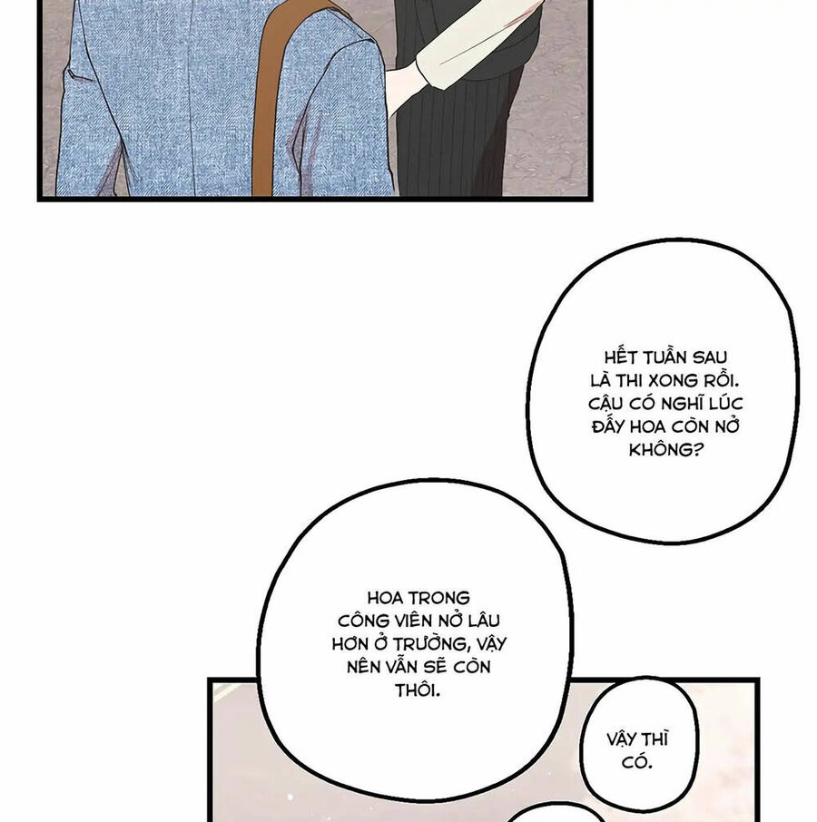 Người Chồng Thứ Hai Của Tôi Chapter 19 - Trang 2