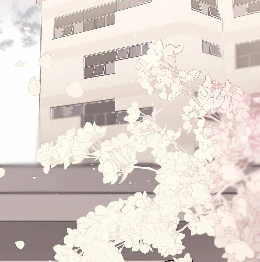 Người Chồng Thứ Hai Của Tôi Chapter 19 - Trang 2