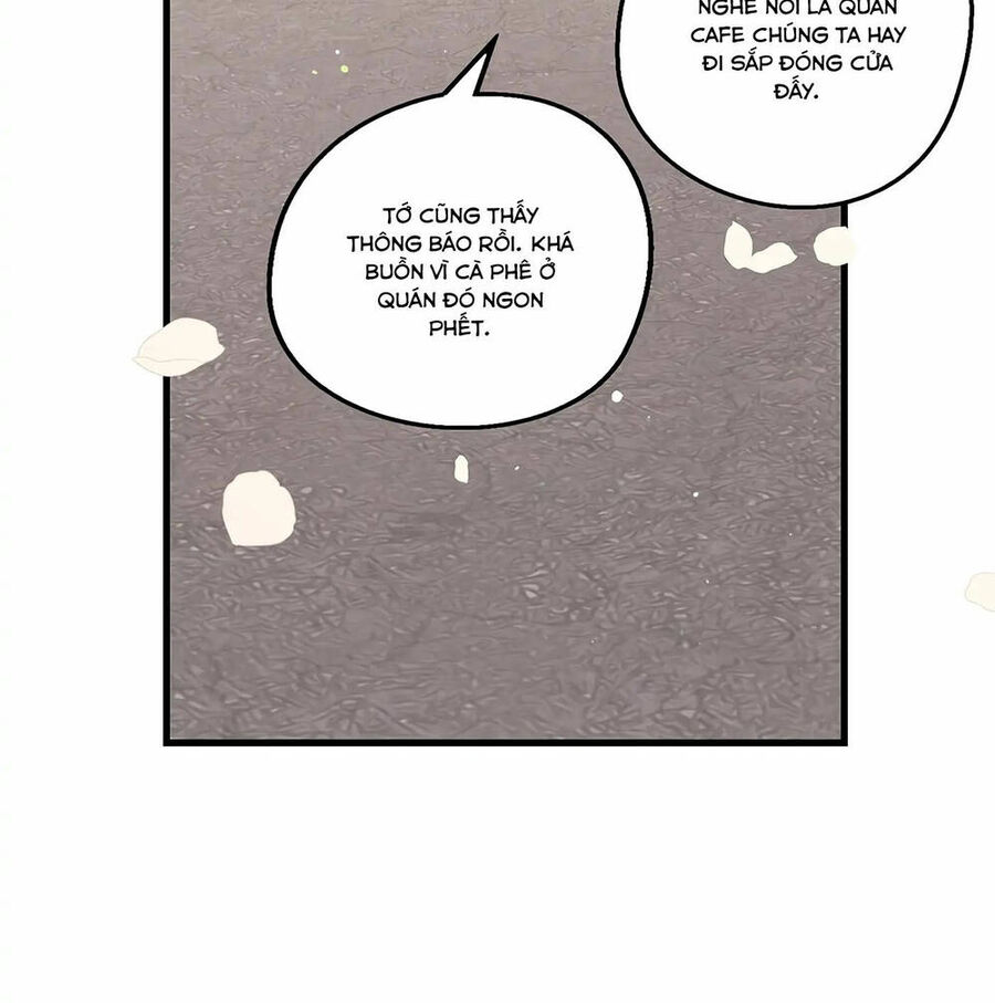 Người Chồng Thứ Hai Của Tôi Chapter 19 - Trang 2