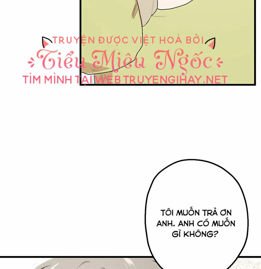 Người Chồng Thứ Hai Của Tôi Chapter 4 - Trang 2