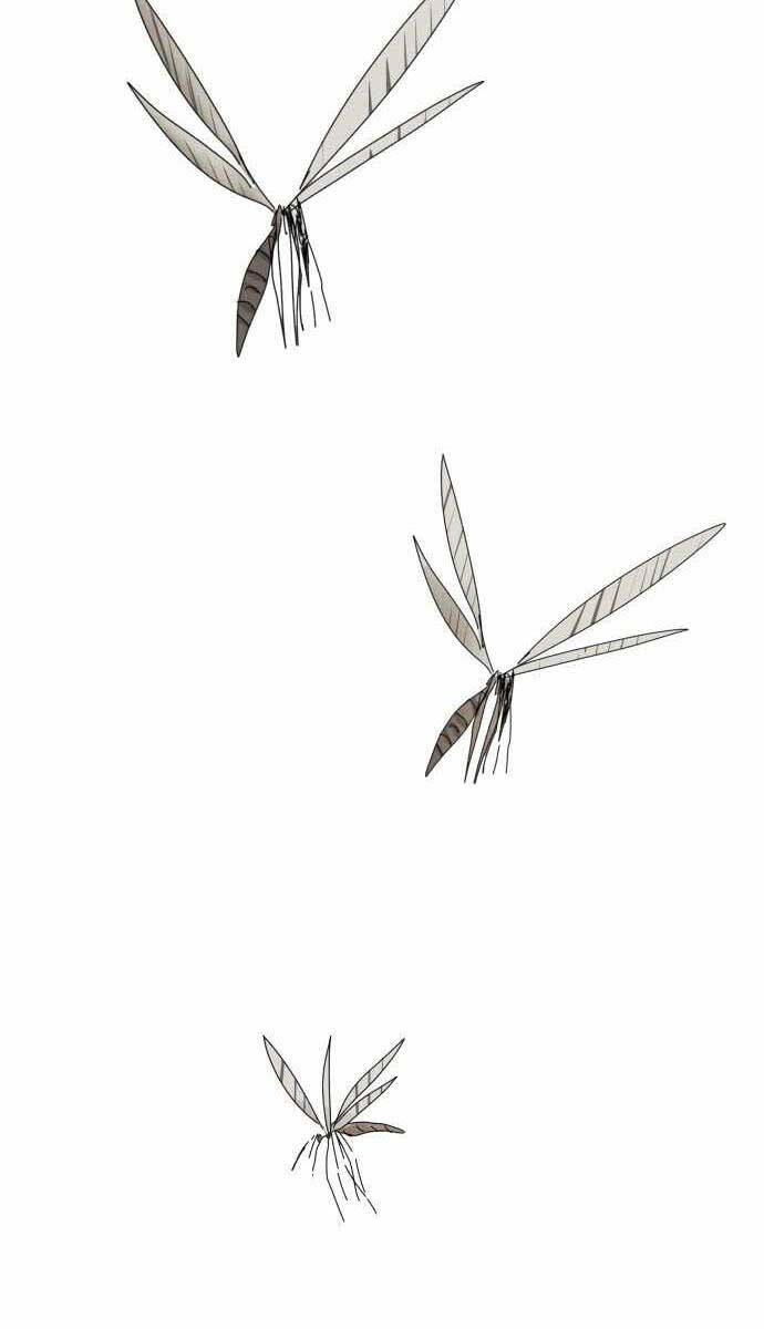 Người Côn Trùng Chapter 1 - Trang 2