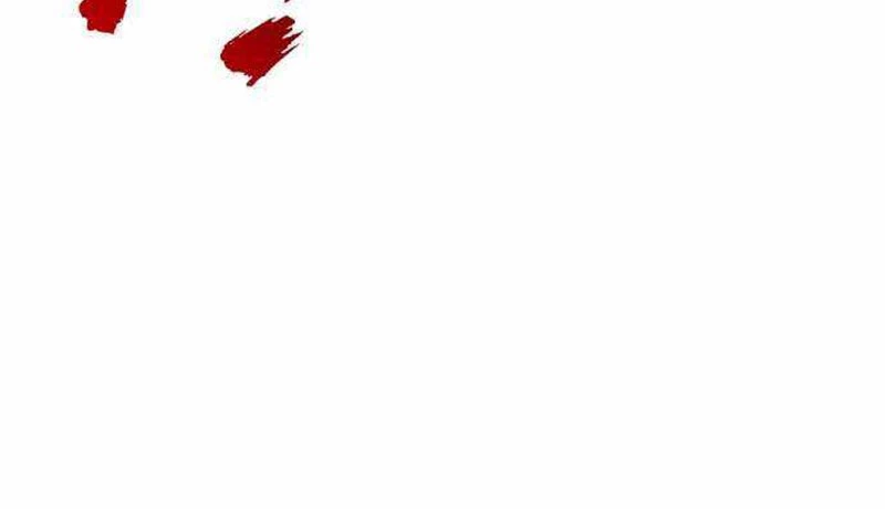 Người Côn Trùng Chapter 47 - Trang 2