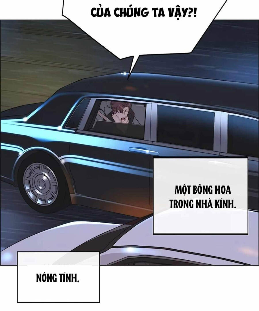 Người Đàn Ông Thực Thụ Chapter 172 - Trang 2