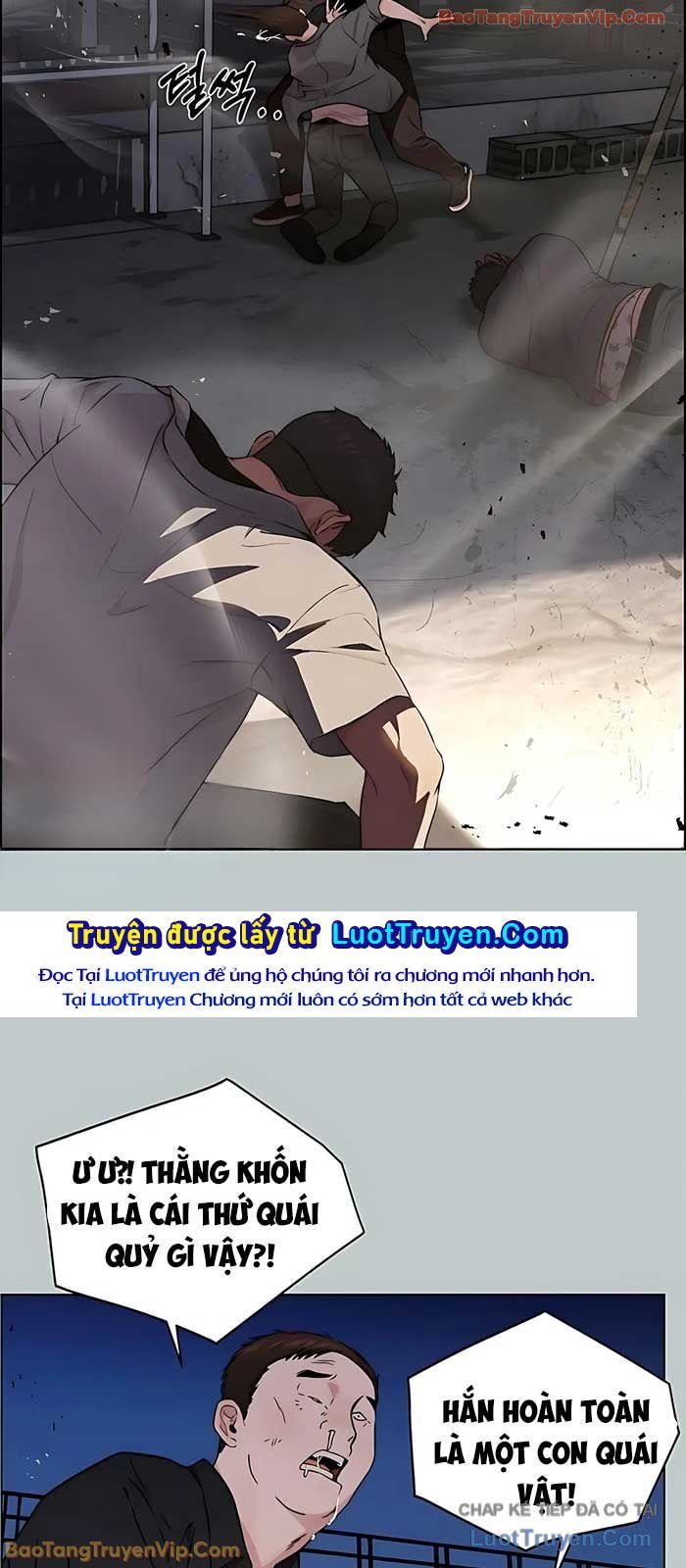 Người Đàn Ông Thực Thụ Chapter 232 - Trang 2