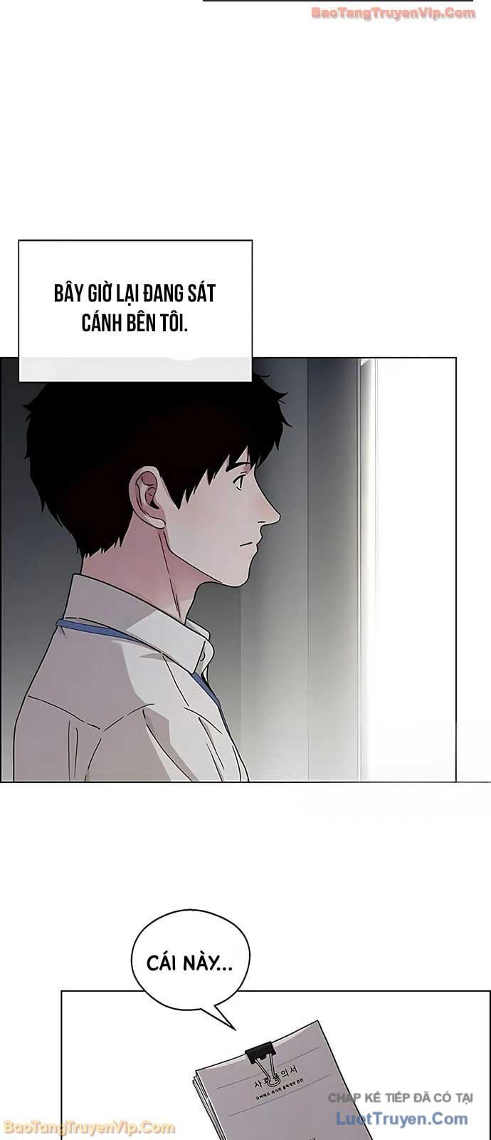 Người Đàn Ông Thực Thụ Chapter 235 - Trang 2