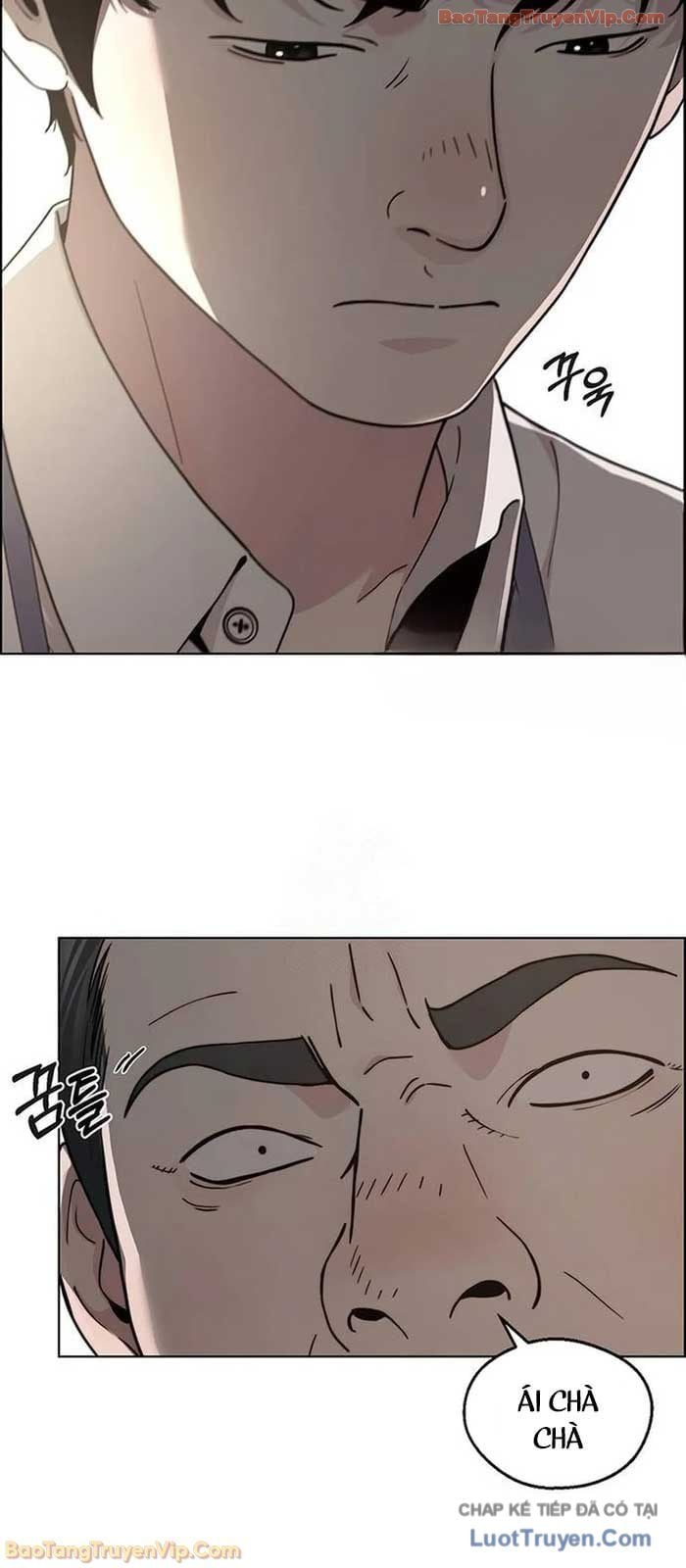 Người Đàn Ông Thực Thụ Chapter 237 - Trang 2