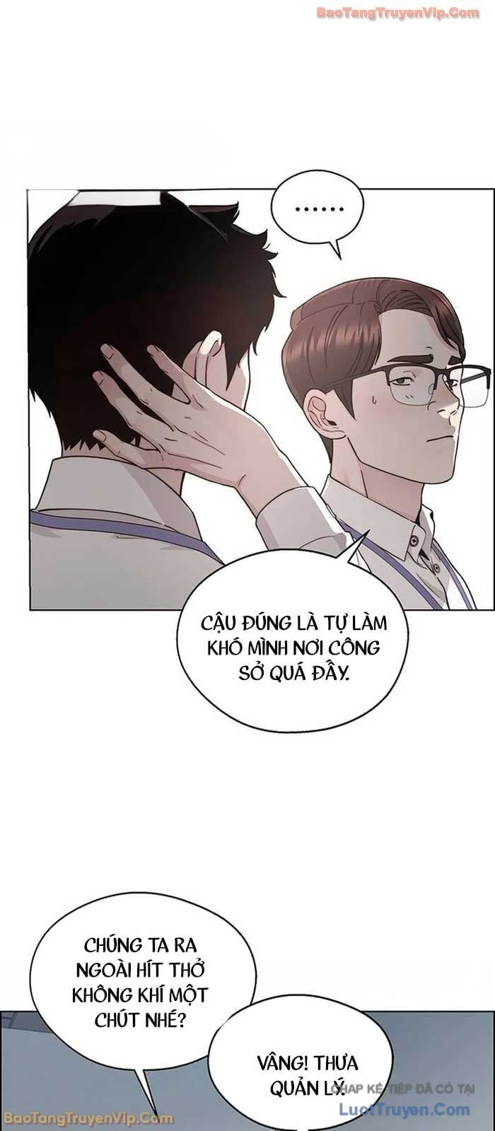 Người Đàn Ông Thực Thụ Chapter 237 - Trang 2