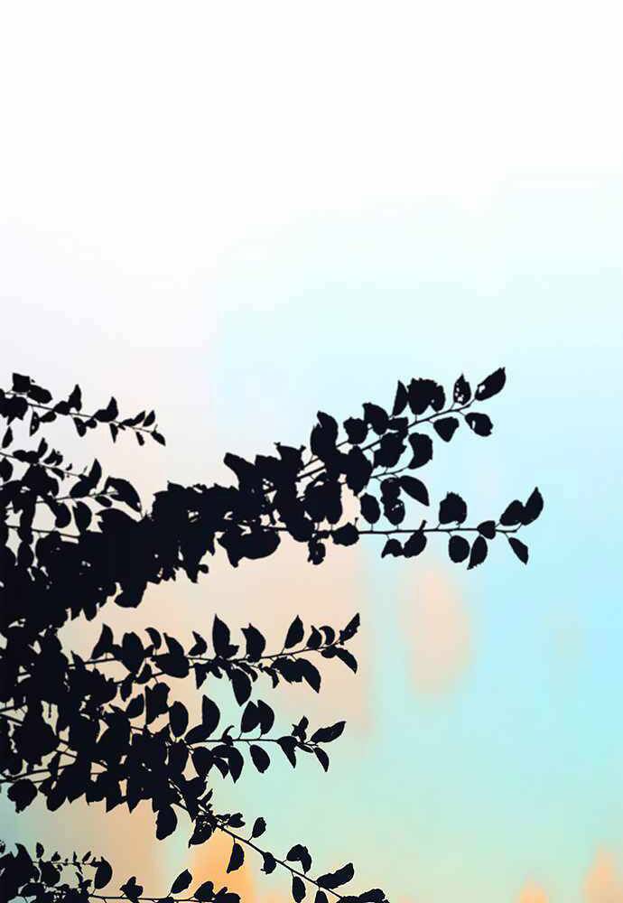 Người Đàn Ông Thực Thụ Chapter 86 - Trang 2