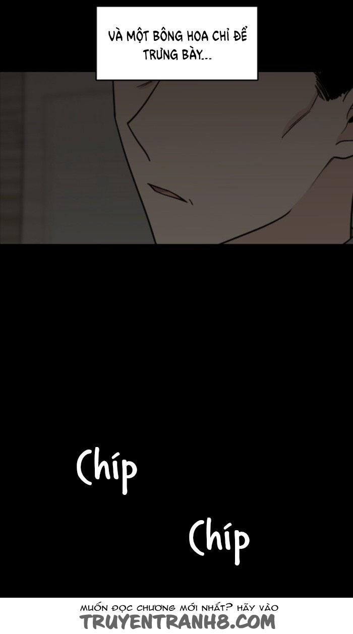 Người Đẹp Gangnam Chapter 32 - Trang 2