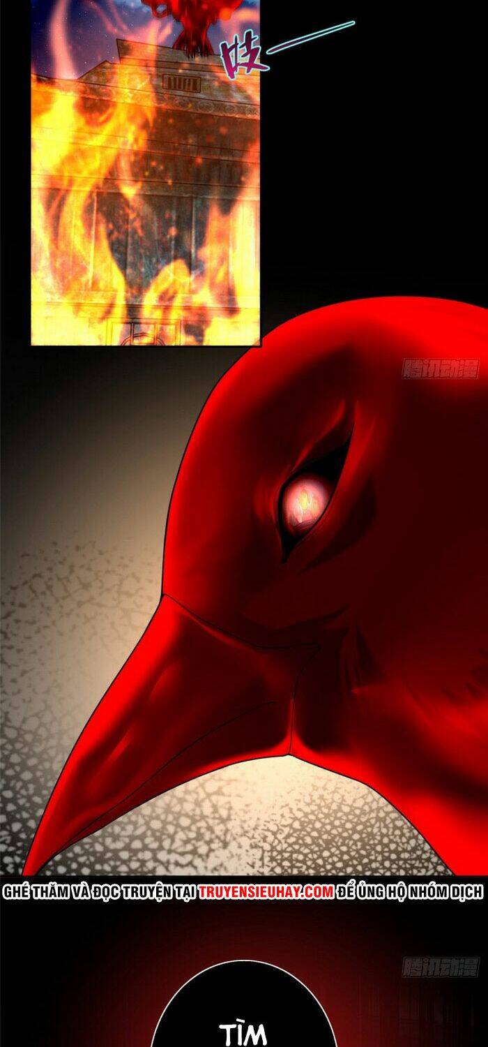 Người Đưa Thư Vô Hạn Chapter 159 - Trang 2