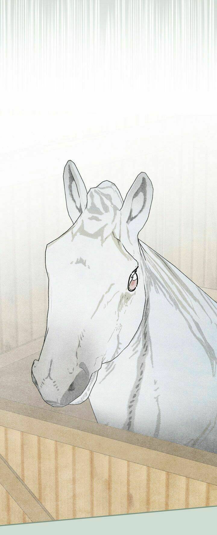 Người Hùng Của Ác Nữ Chapter 75 - Trang 2