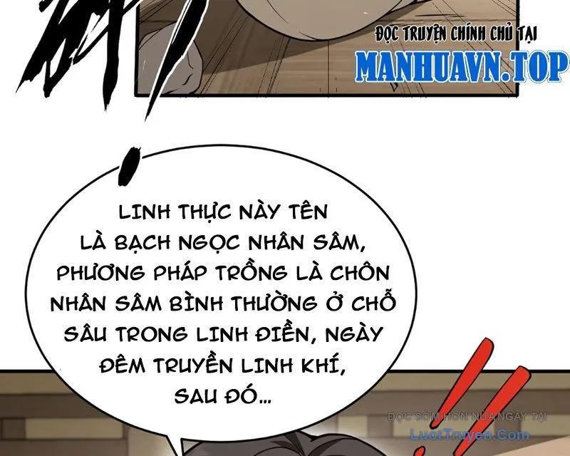 Người Khác Luyện Cấp Ta Tu Tiên, Tới Đại Thừa Kỳ Thì Rời Núi Chapter 11 - Trang 2