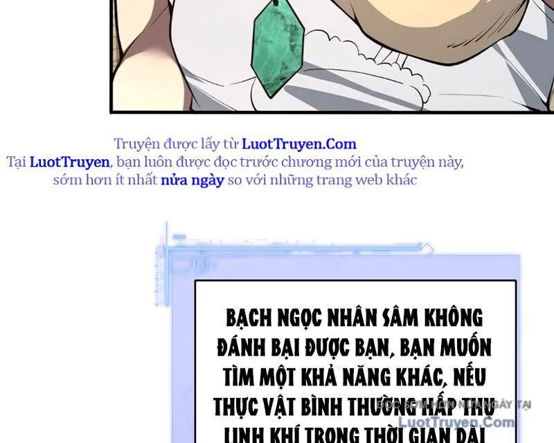 Người Khác Luyện Cấp Ta Tu Tiên, Tới Đại Thừa Kỳ Thì Rời Núi Chapter 11 - Trang 2