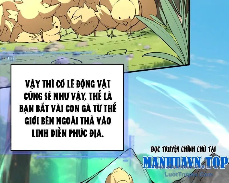 Người Khác Luyện Cấp Ta Tu Tiên, Tới Đại Thừa Kỳ Thì Rời Núi Chapter 11 - Trang 2