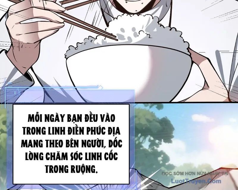 Người Khác Luyện Cấp Ta Tu Tiên, Tới Đại Thừa Kỳ Thì Rời Núi Chapter 11 - Trang 2