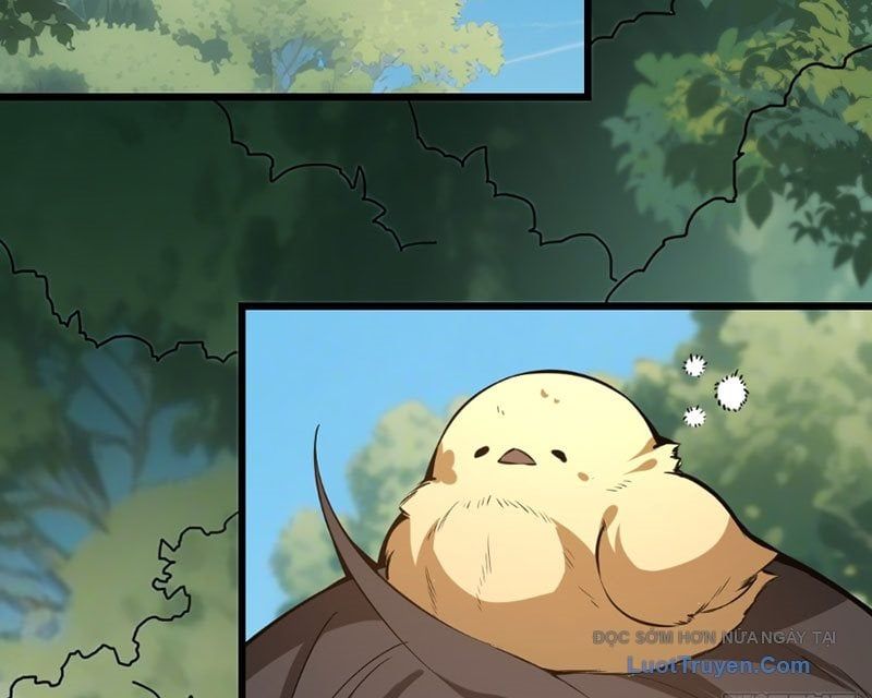 Người Khác Luyện Cấp Ta Tu Tiên, Tới Đại Thừa Kỳ Thì Rời Núi Chapter 12 - Trang 2