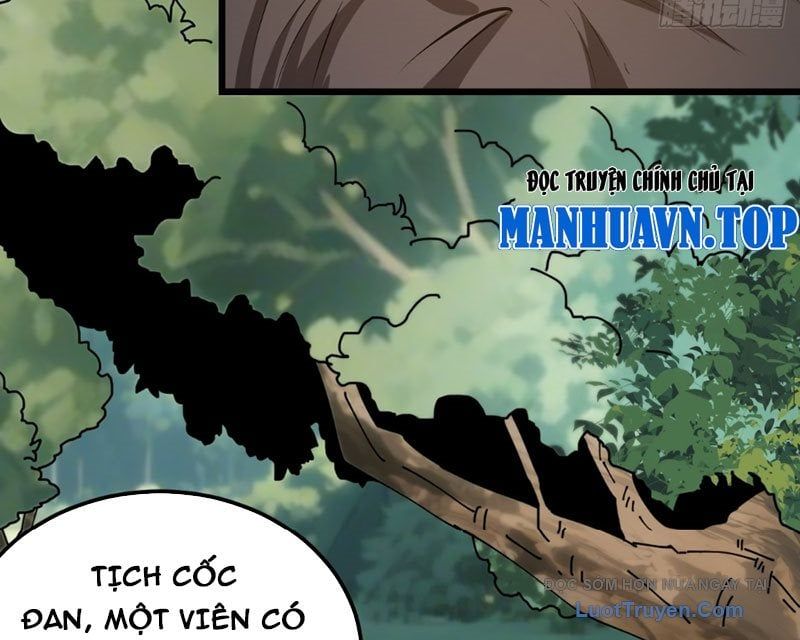 Người Khác Luyện Cấp Ta Tu Tiên, Tới Đại Thừa Kỳ Thì Rời Núi Chapter 12 - Trang 2