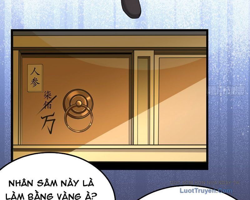 Người Khác Luyện Cấp Ta Tu Tiên, Tới Đại Thừa Kỳ Thì Rời Núi Chapter 13 - Trang 2