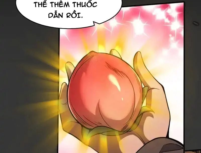 Người Khác Luyện Cấp Ta Tu Tiên, Tới Đại Thừa Kỳ Thì Rời Núi Chapter 24 - Trang 2