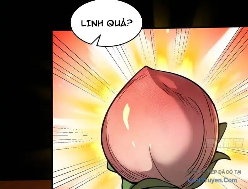 Người Khác Luyện Cấp Ta Tu Tiên, Tới Đại Thừa Kỳ Thì Rời Núi Chapter 24 - Trang 2