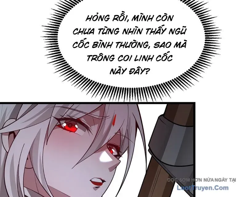 Người Khác Luyện Cấp Ta Tu Tiên, Tới Đại Thừa Kỳ Thì Rời Núi Chapter 7 - Trang 2