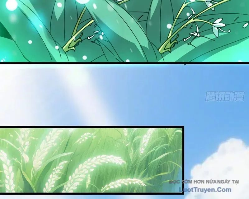 Người Khác Luyện Cấp Ta Tu Tiên, Tới Đại Thừa Kỳ Thì Rời Núi Chapter 7 - Trang 2