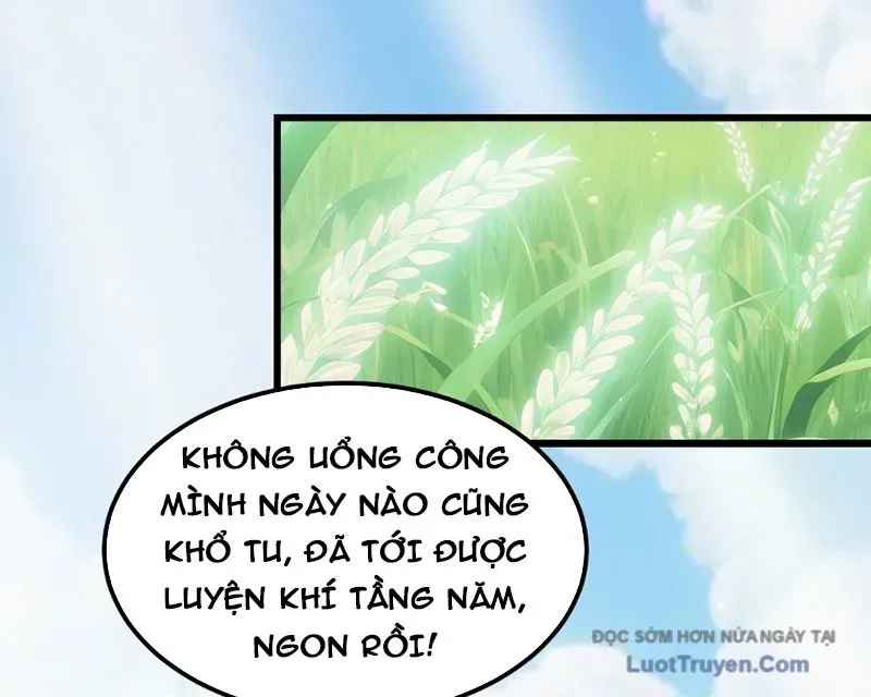 Người Khác Luyện Cấp Ta Tu Tiên, Tới Đại Thừa Kỳ Thì Rời Núi Chapter 7 - Trang 2
